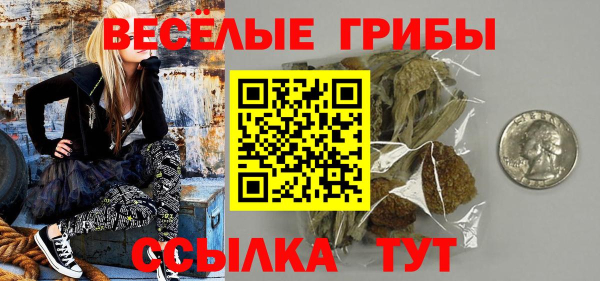 Галлюциногенные грибы Psilocybe Ирбит